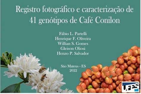 Livro apresenta pesquisas para o desenvolvimento do conilon e robusta