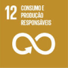 Essa é uma ação da Ufes relacionada ao Objetivo do Desenvolvimento Sustentável 12 da Organização das Nações Unidas. Clique e veja outras ações.