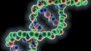 Molécula de DNA