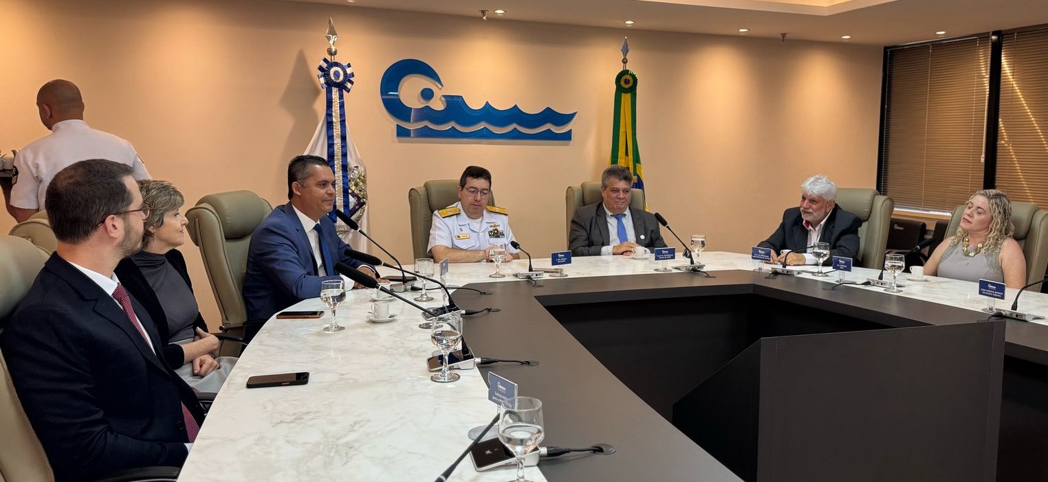 Foto dos presentes sentados à mesa na sala de reuniões da Comissão