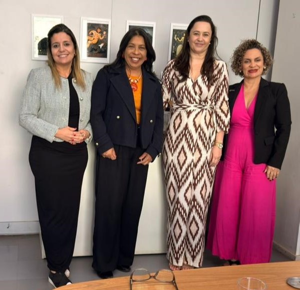 Foto das participantes na reunião na Sesu/MEC