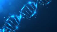 Imagem de uma cadeia de DNA