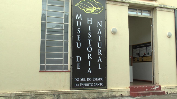 O Muses expõe materiais das áreas de Botânica, Geologia, Paleontologia, Parasitologia e Zoologia (vertebrados e invertebrados).