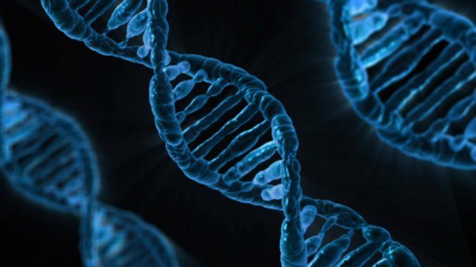 Imagem digital de moléculas de DNA