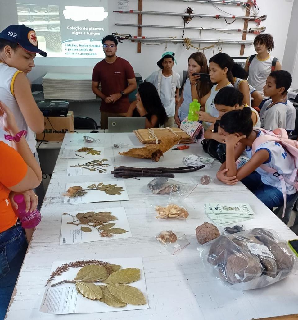 Foto de jovens estudantes em volta de uma mesa com amostras de plantas, no herbário