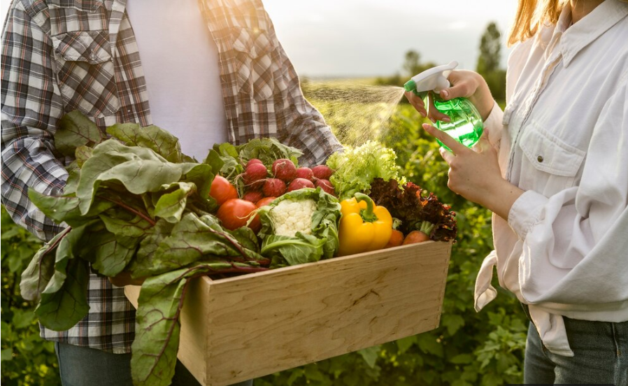 Imagem de duas pessoas, sendo que uma delas carrega uma caixa de madeira com verduras diversas