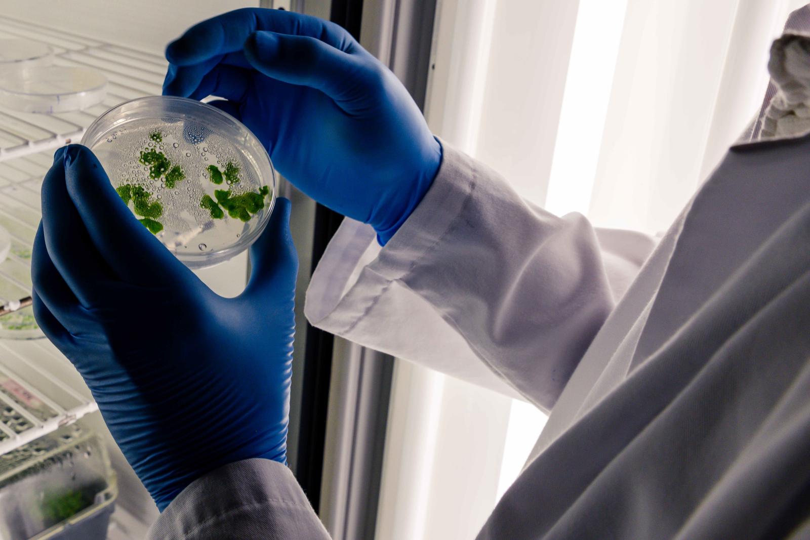 Imagem de um laboratório de biotecnologia