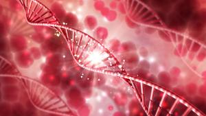 Imagem de uma molécula de DNA.