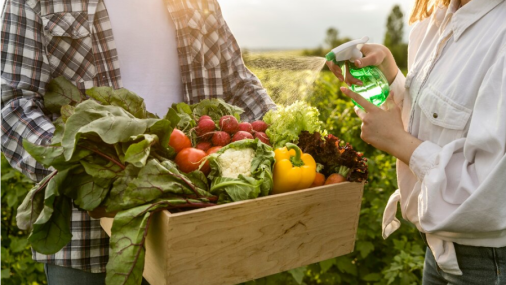 Imagem de duas pessoas, sendo que uma delas carrega uma caixa de madeira com verduras diversas